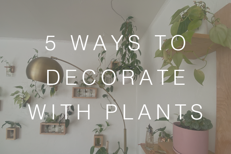 Plant Wall Decor: 5 Unique Ways to Decorate with Plants