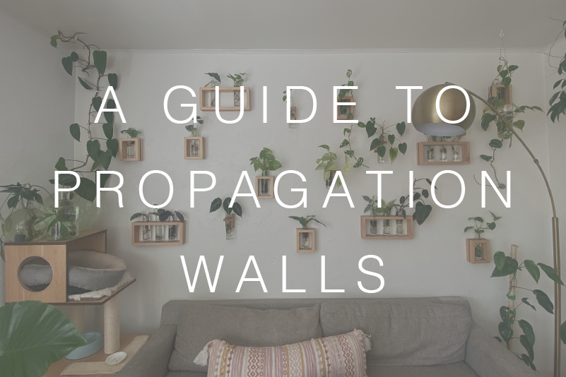 A Guide to Propagation Walls