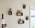 Walnut plant wall set on a white wall with lamp
