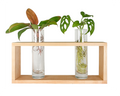 modern botanical double propagation frames with water plants