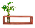 Red Cedar Plant Shelf