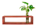 Red Cedar Plant Shelf