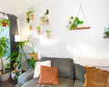 plant wall with modern botanical propagation frames on white wall with wall decor with a nice couch and plants in lecca pots.